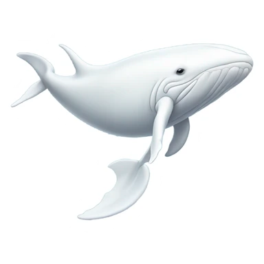 white whale , underside sticker