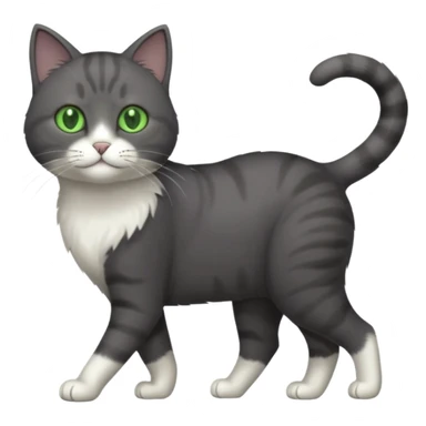 full body solid dark grey cat with green eyes, white paws and white whiskers walking sticker