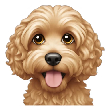 Blonde cavapoo sticker