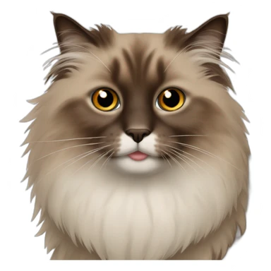 Very hairy brown ragdoll cat sticker