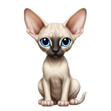 Siamese Sphynx Peterbald  cat with blue eyes, full thin body stand, black nose ears and tail sticker