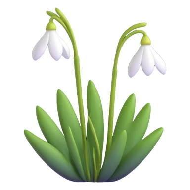 snowdrop flower sticker