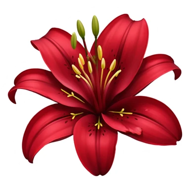 A lily flower in a dark cherry red colour sticker