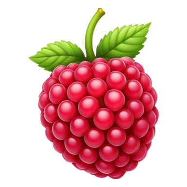 Rasberry sticker