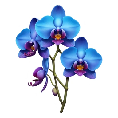 Blue orchids sticker