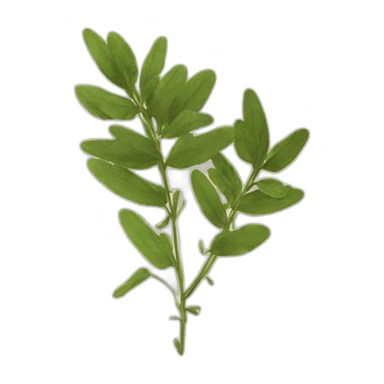 herbarium book sticker