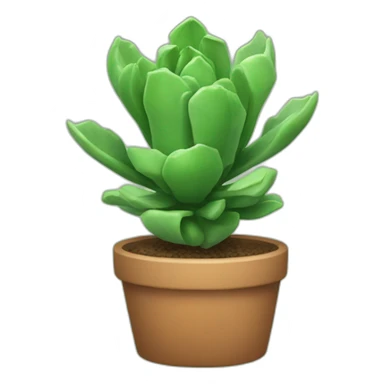 joe court succulent sticker