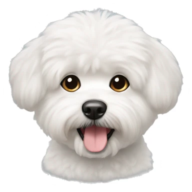 bishon frise sticker