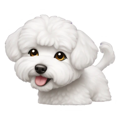 Bichon maltés  sticker