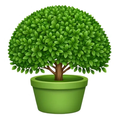 Boxwood sticker