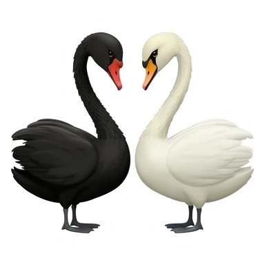 Black swan and white swan looking to each othe sticker