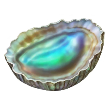 abalone shell sticker