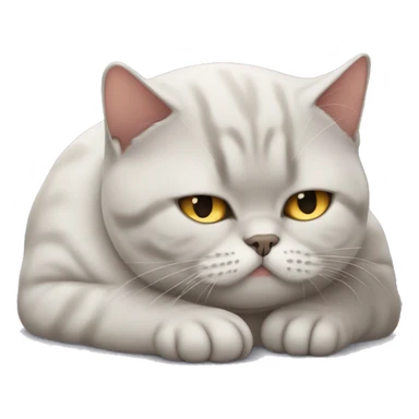 British shorthair cat begie sleeping  sticker