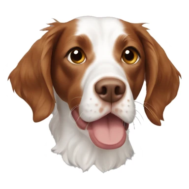 Brittany spaniel  sticker