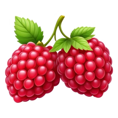 Raspberry fruit sticker
