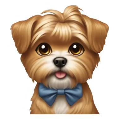 Shorkie with a bow sticker