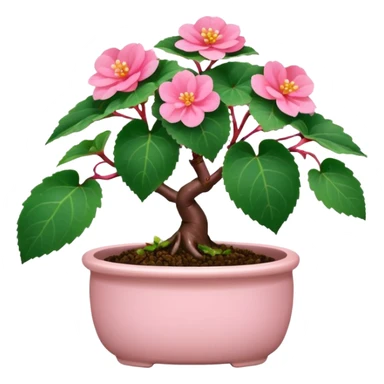 Begonia bonsai sticker