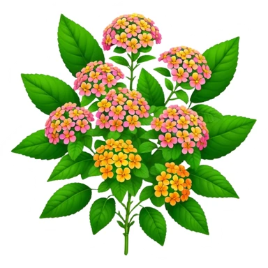 big bouquet Lantana flower, stem, leaf sticker