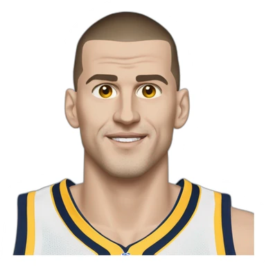 nikola jokic sticker