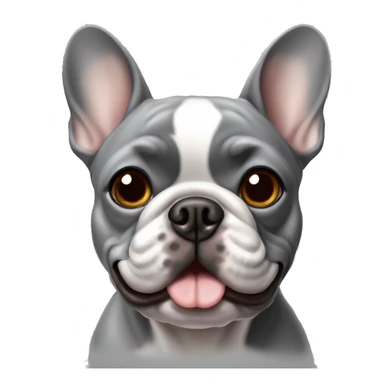French Bulldog in grey with Brown eyes sticker