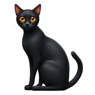 Black cat with orange eyes  sticker