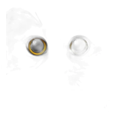 Dark Brown Siberian kitten face sticker