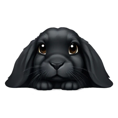 black holland lop bunny laying down sticker