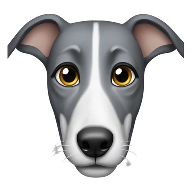  tiger greyhound with grey nose sticker
