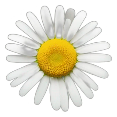 Chamomile flower sticker