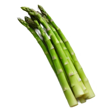 Asparagus on a plate sticker