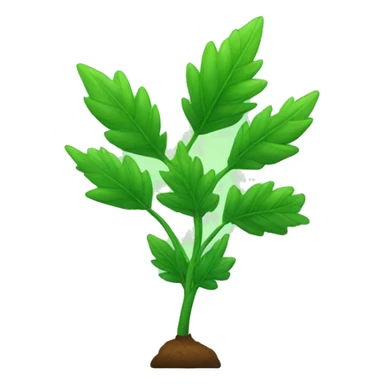 Green 🍁 plant  sticker
