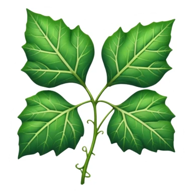 Ivy leaf  sticker