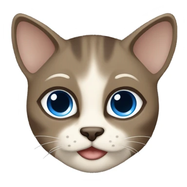 Dark Brown face - beige body and ears female siamise cat with blue eyes  sticker