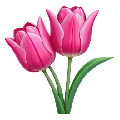 tulip two pink sticker