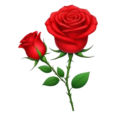 Socialist International with rose sticker