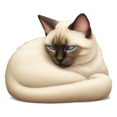fluffy siamese cat curled up sleeping sticker