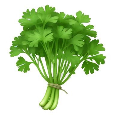 Cilantro  sticker
