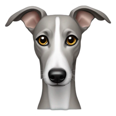 Whippet with black fur sticker