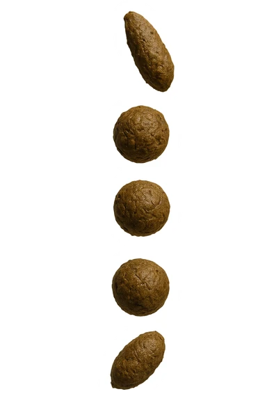 FECI DI ANIMALE A PALLINE UN PO' ALLUNGATE CADONO DALL'ALTO VERTICALMENTE, IPERREALISTICO 4K sticker