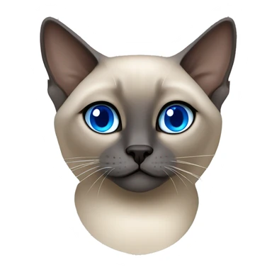 Blue mink tonkinese cat with blue eyes curled up sticker
