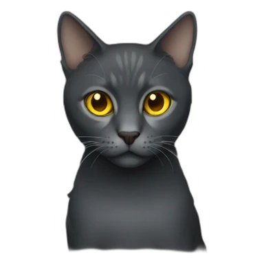 dark gray cat yellow eyes  sticker