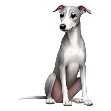 Grey whippet sitting sticker