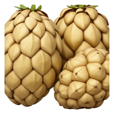  Jerusalem artichoke sticker