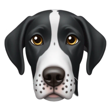 black & white german shorthair pointer, black head with white hair on the snout sticker