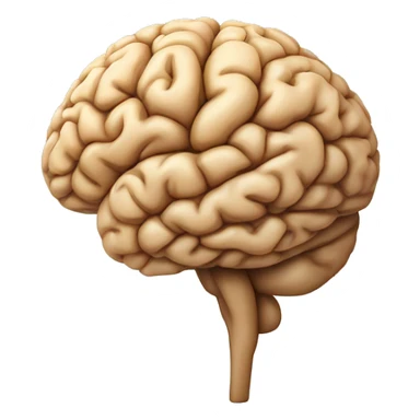 artistic brain in cornal view  sticker