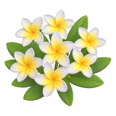 plumeria flower with five white petals and yellow center sticker