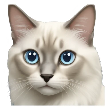Balinese cat with light blue eyes and medium length fur sticker
