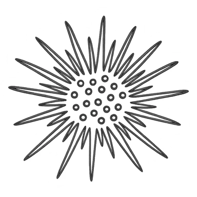 Sea urchin illustration matching the logo style, clean hand-drawn blue lines, minimal, no text, transparent background. sticker