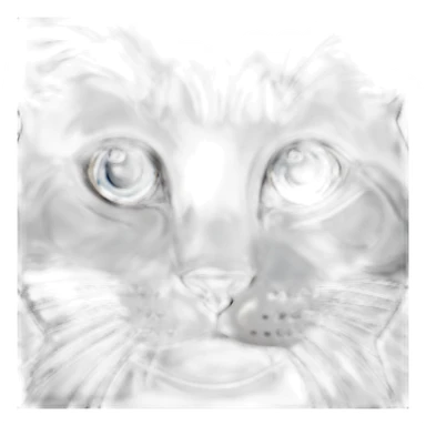 Grey cat blue eyes sticker