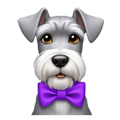 grey and white miniature schnauzer with purple collar and bows in her hair  sticker